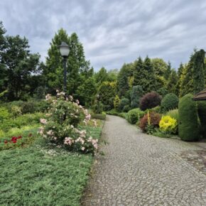 Galeria zdjęć przedstawiają ogród na przełomie czerwca i lipca. Zobaczyć można kwitnące rośliny, rzeźby, oraz piękne widoki parku
