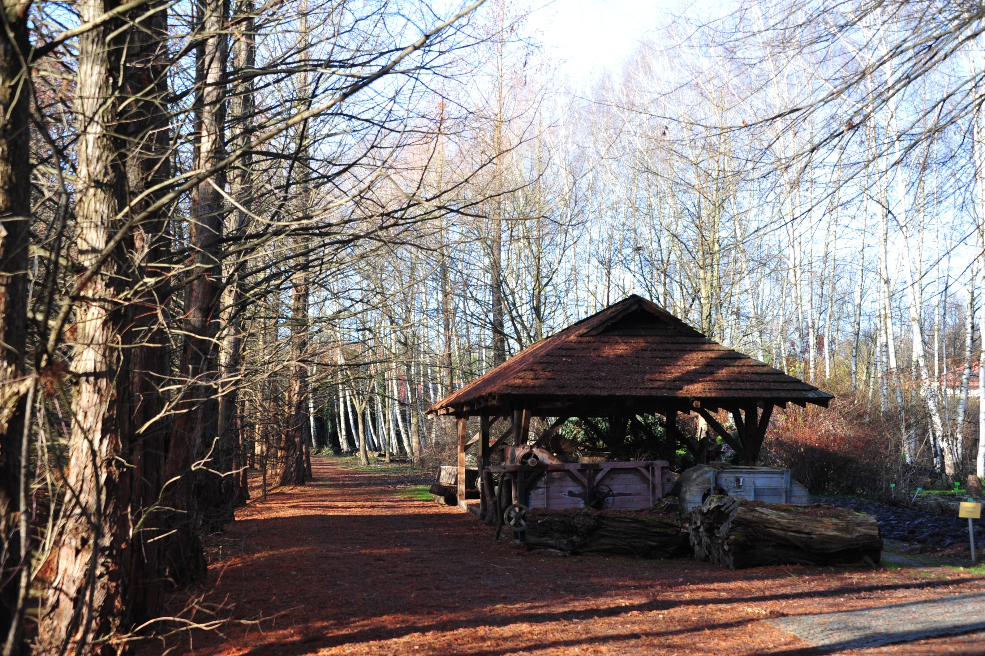 Zdjęcie ogrodu zrobione zimą na którym można zobaczyć wiatę oświetloną słońcem
