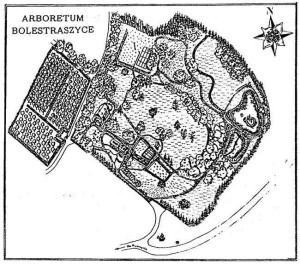 Mapa przedstawiająca stare Arboretum. Jest to stara rycina, wycinek mapy przedstawiający całą powierzchnię Arboretum.