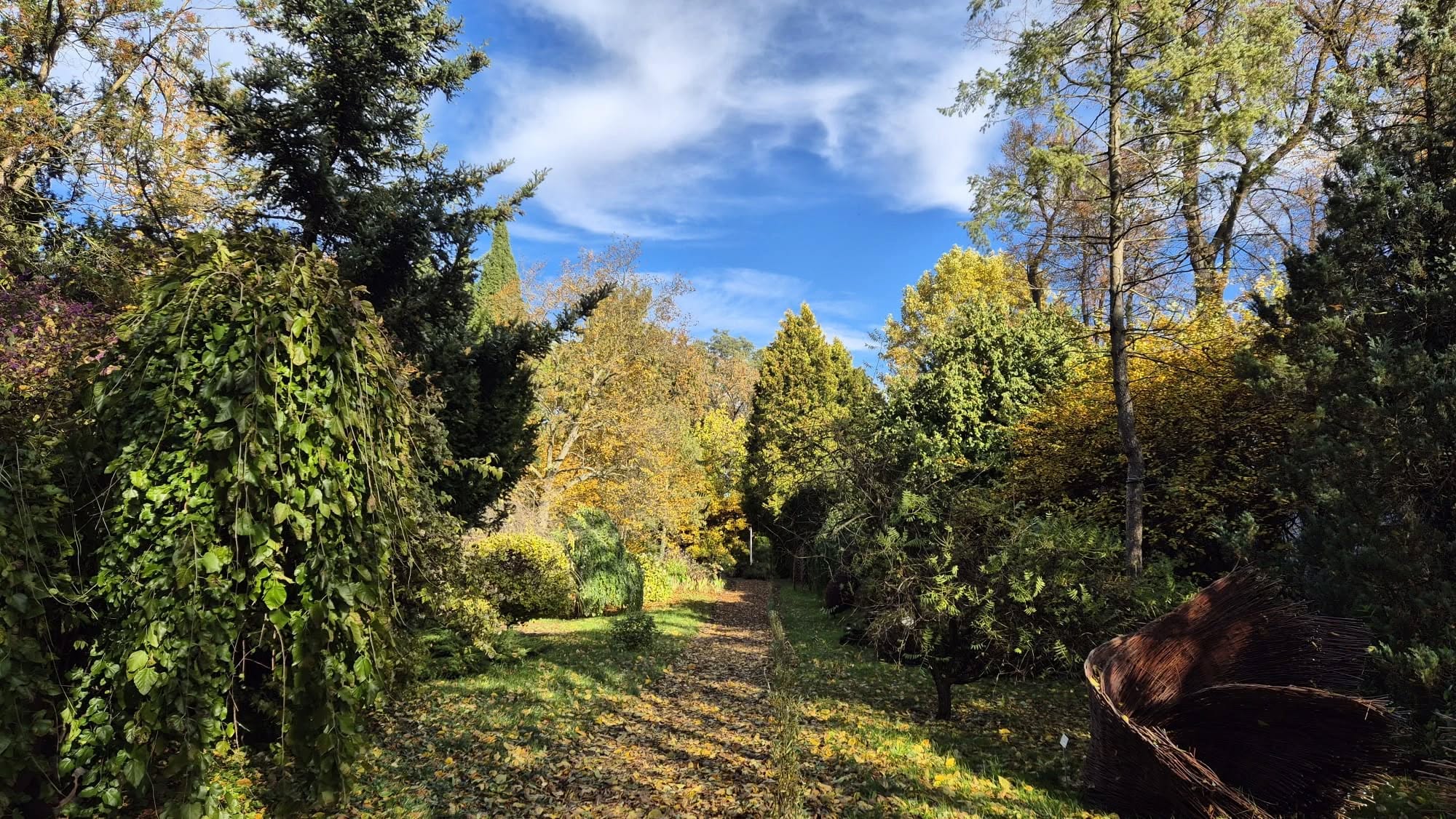 Jesienny widok na park