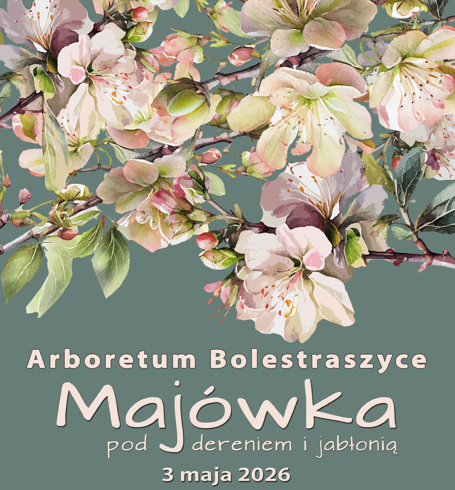 Zdjęcie przedstawiające żółwia błotnego